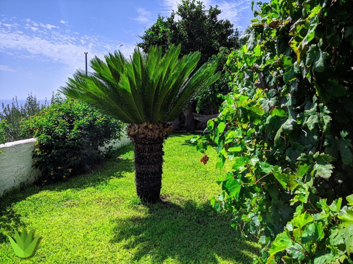 Villa Delle Agavi Vietri 외부 사진