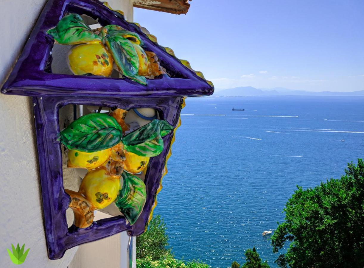 Villa Delle Agavi Vietri 외부 사진