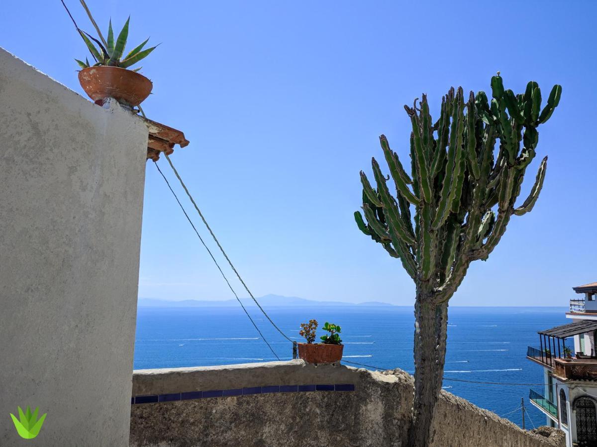 Villa Delle Agavi Vietri 외부 사진